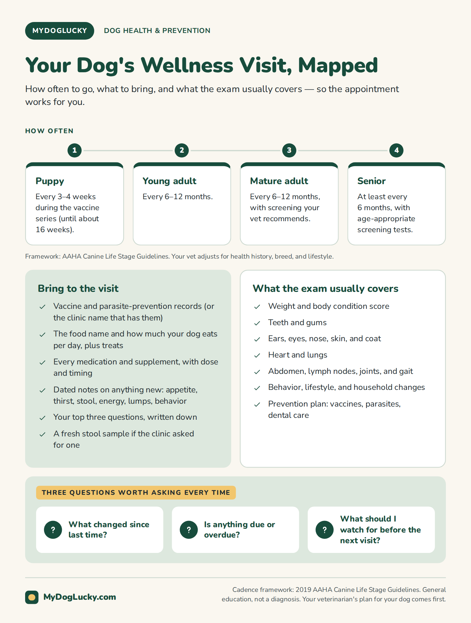 Preventive dog care infographic: how often dogs need wellness visits by life stage (puppies every 3 to 4 weeks during vaccines, adults every 6 to 12 months, seniors at least every 6 months), what to bring to the appointment, what the exam covers, and three questions to ask every time.