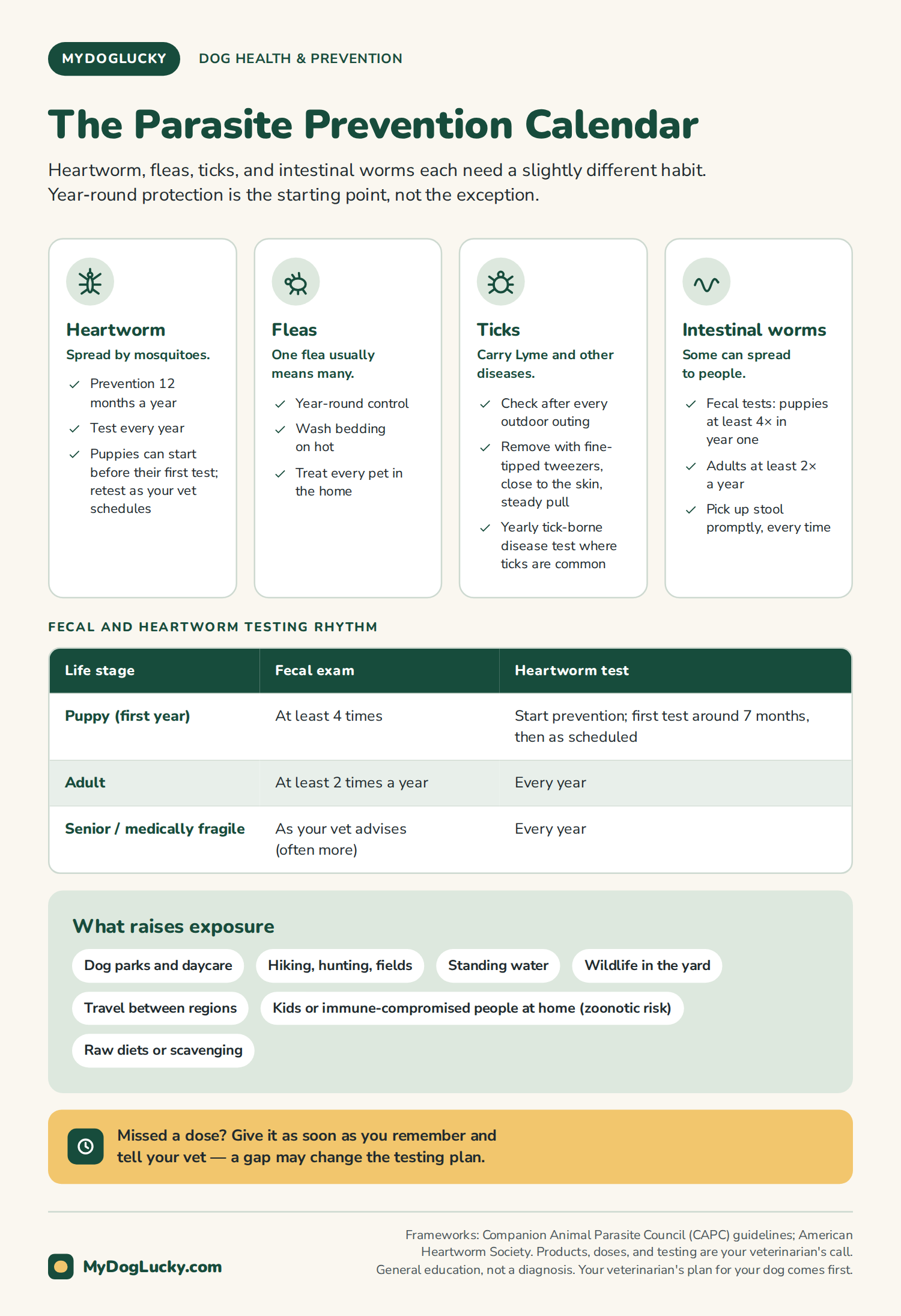 Preventive dog care infographic: the parasite prevention calendar for dogs. Heartworm, fleas, ticks, and intestinal worms with the key habit for each, a table of fecal and heartworm testing rhythm by life stage, exposure factors, and what to do about a missed dose.