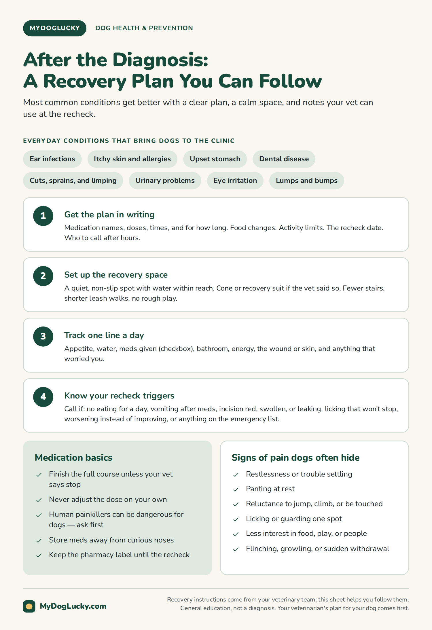 Preventive dog care infographic: after the diagnosis, a four-step recovery plan for dogs. Get the plan in writing, set up the recovery space, track one line a day, know your recheck triggers. Plus medication basics and signs of pain dogs often hide.