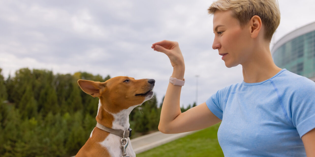 How Much Exercise Does a Dog Need? A Guide by Age, Size, and Lifestyle