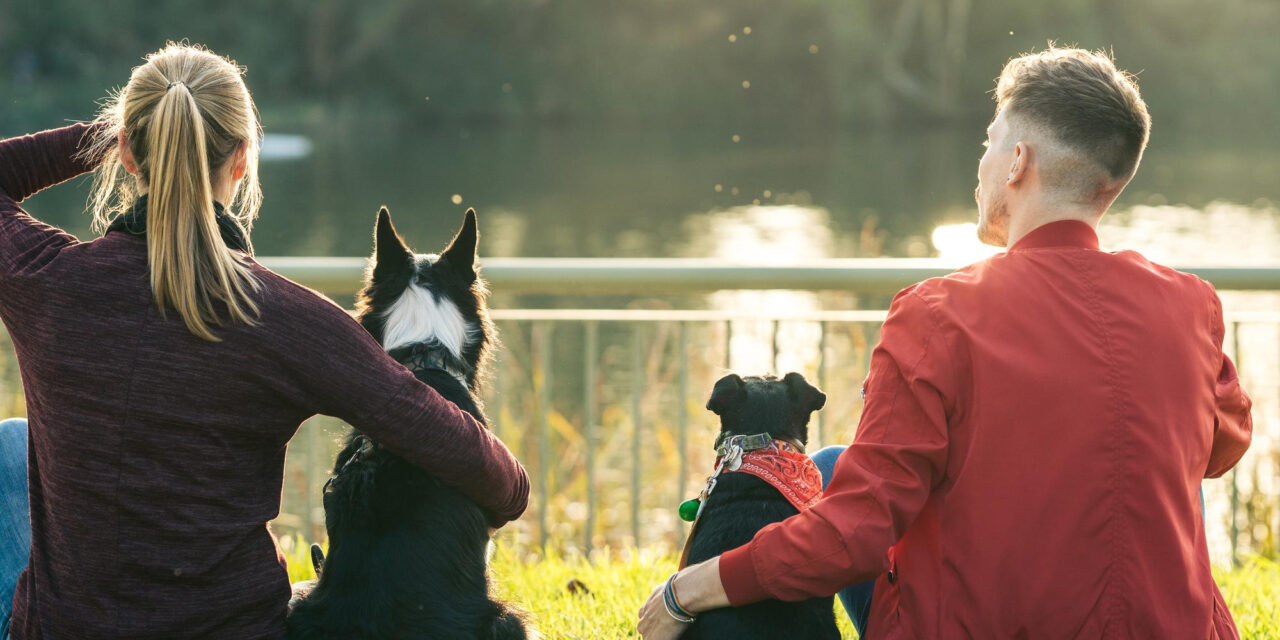 Are Dog Parks Right for Your Dog? Etiquette, Alternatives, and Planning