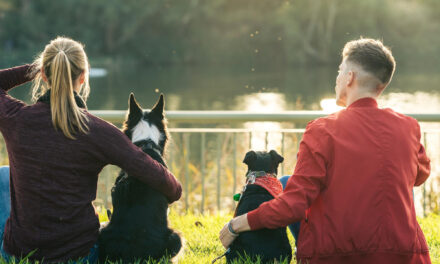 Are Dog Parks Right for Your Dog? Etiquette, Alternatives, and Planning
