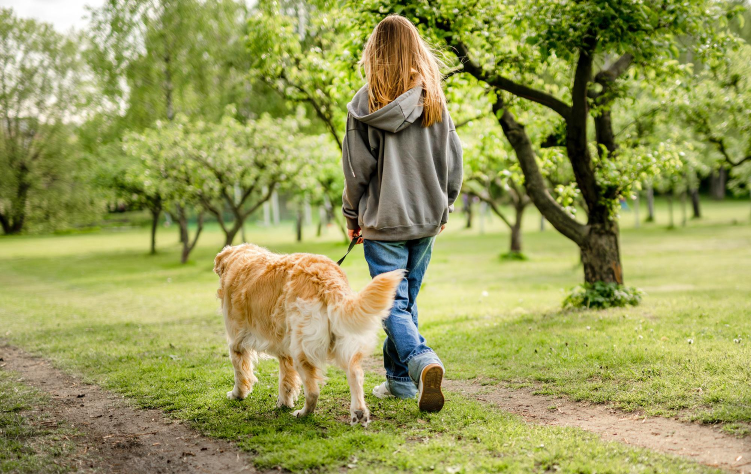 How Often Should You Walk Your Dog