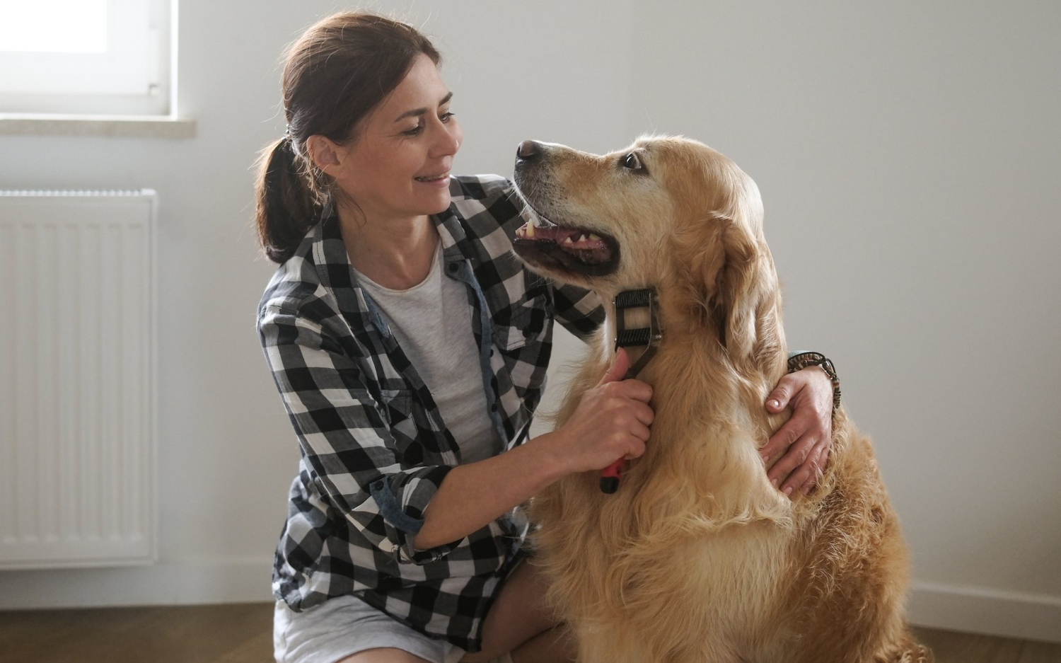 Indoor Dog Enrichment