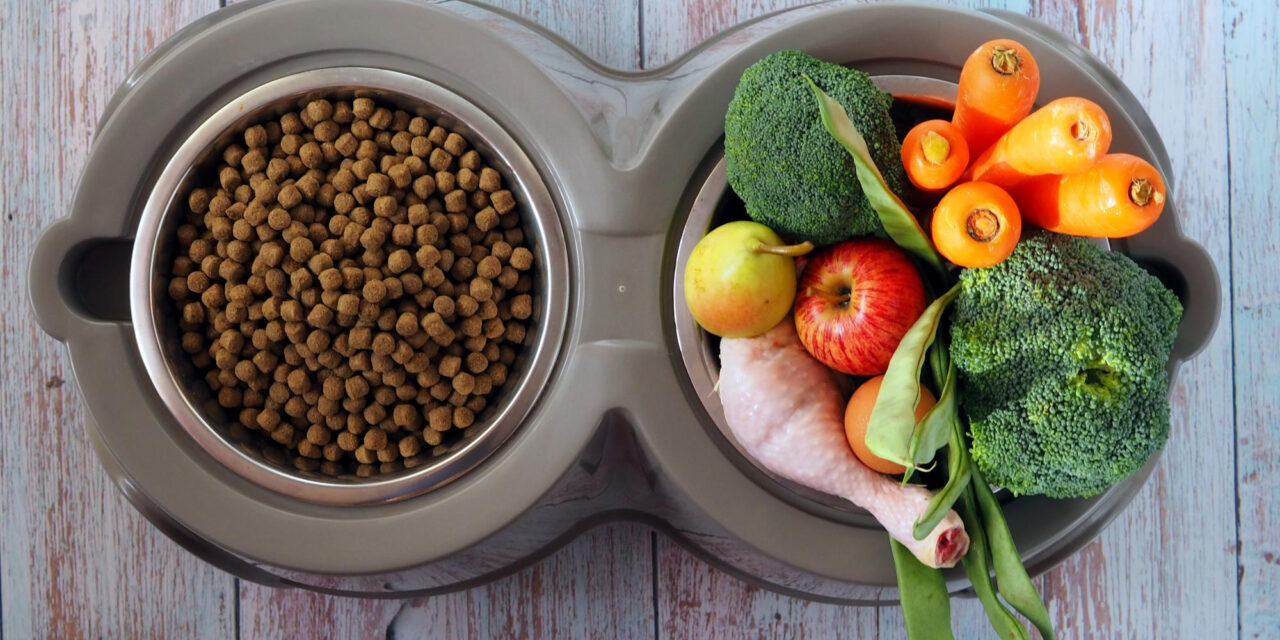 Can Dogs Eat Fruits and Vegetables? A Food-by-Food Guide