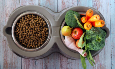 Can Dogs Eat Fruits and Vegetables? A Food-by-Food Guide
