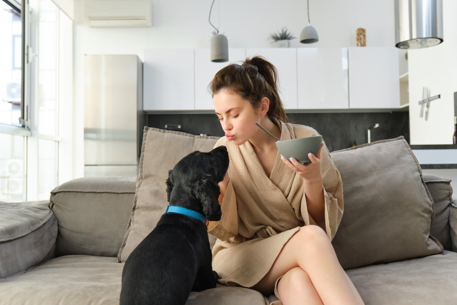 Dog-Proofing Your Home