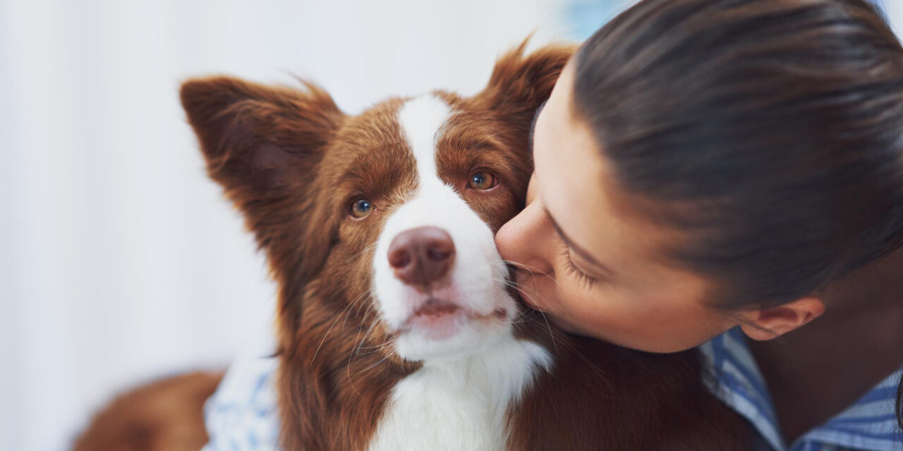 Preventive Dog Care: A Guide to Better Vet Conversations