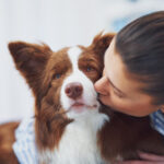 Preventive Dog Care: A Guide to Better Vet Conversations