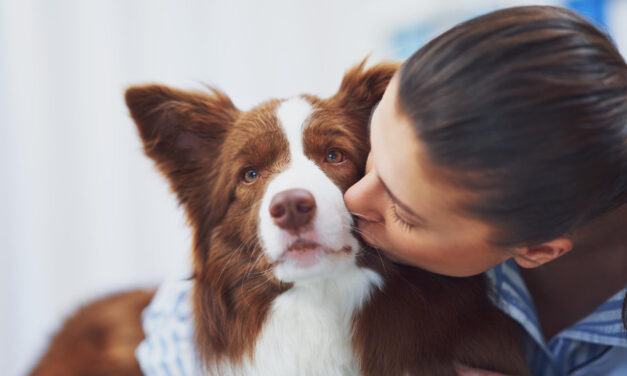 Preventive Dog Care: A Guide to Better Vet Conversations