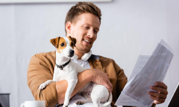 First-Time Dog Owner Guide: Costs, Care, Home Setup, and Support