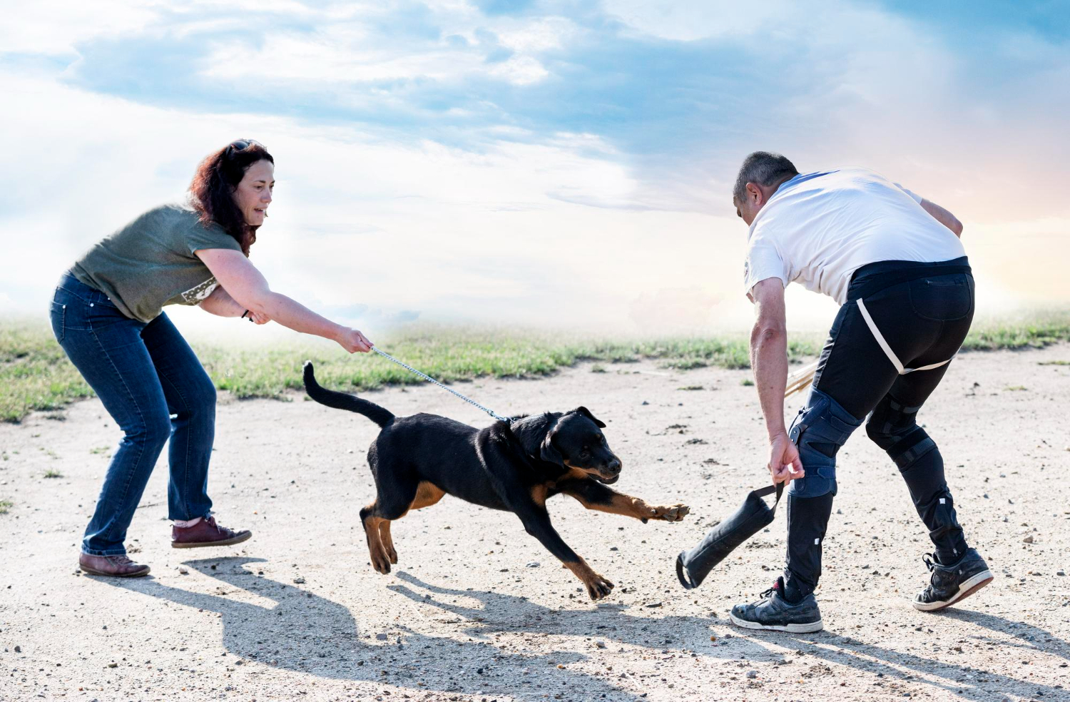 How Much Exercise Does a Dog Need