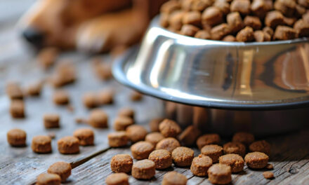 Large-Breed Puppy Food: Growth, Feeding Questions, and Food Selection