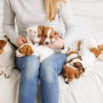 Puppy Socialization Checklist: Plan Positive, Appropriate Experiences