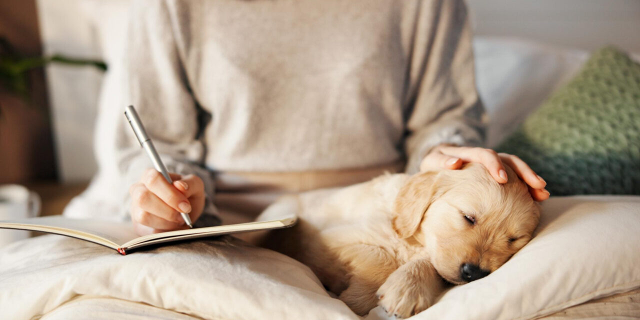 New Puppy Checklist: What to Buy, Prepare, and Arrange