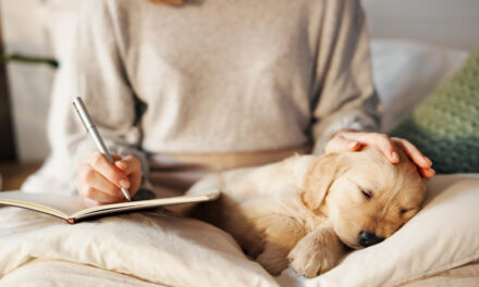 New Puppy Checklist: What to Buy, Prepare, and Arrange