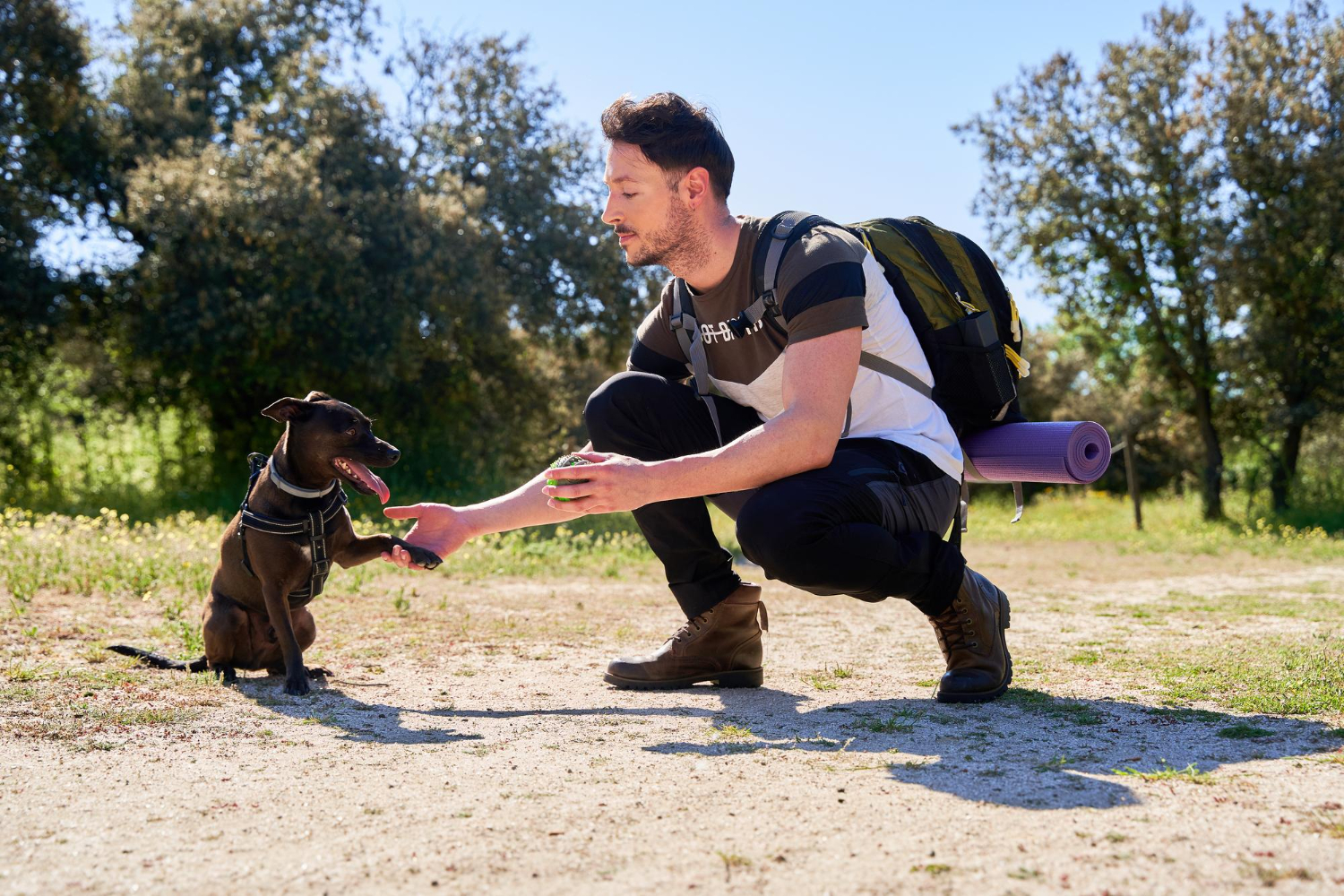 How Much Exercise Does a Dog Need