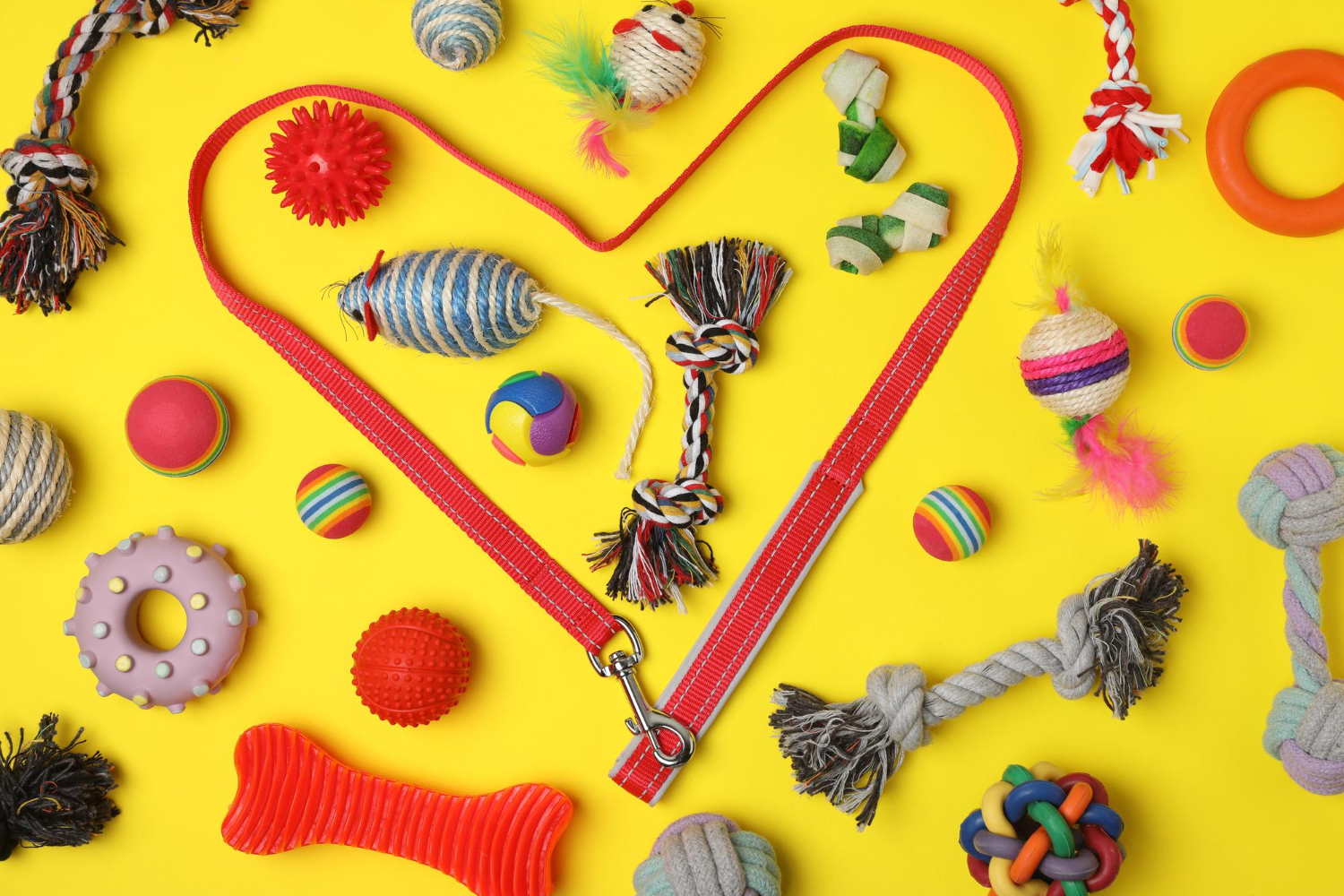 Best Dog Toys
