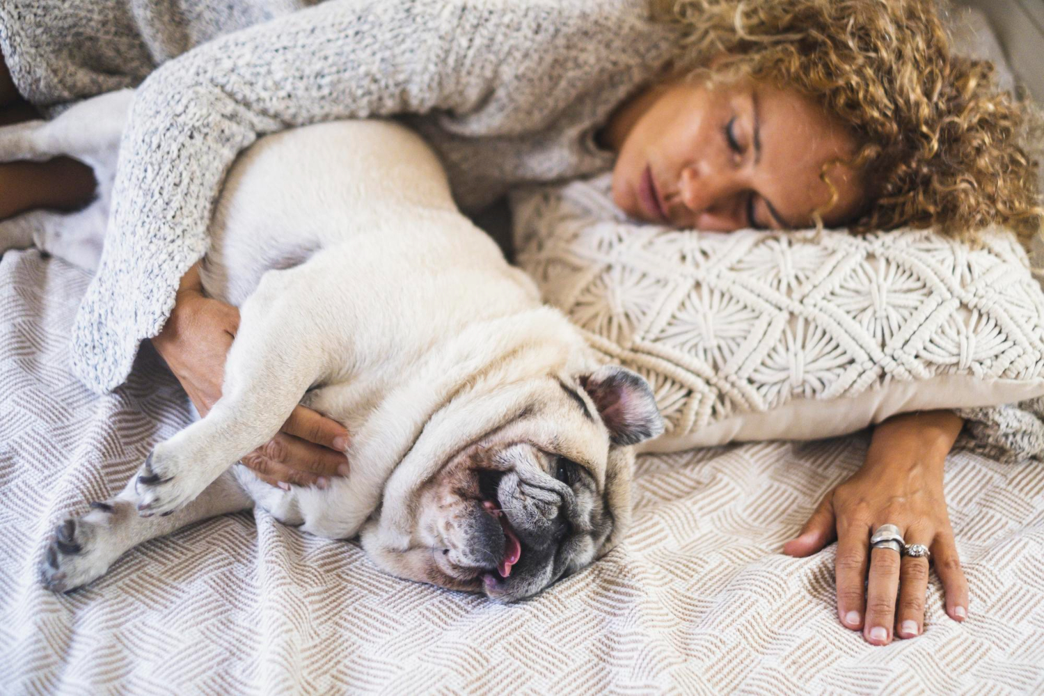 Why Do Dogs Sleep So Much