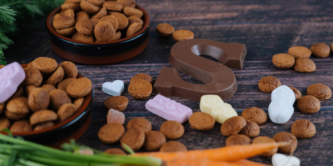 Dog Nutrition Guide: Choosing Food, Feeding Well, and Asking Better Questions