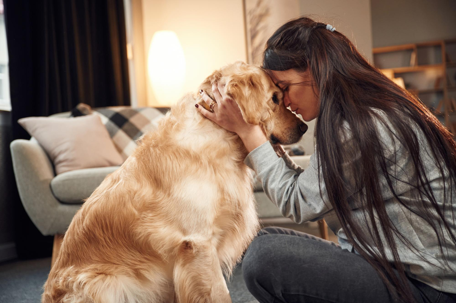 Indoor Dog Enrichment