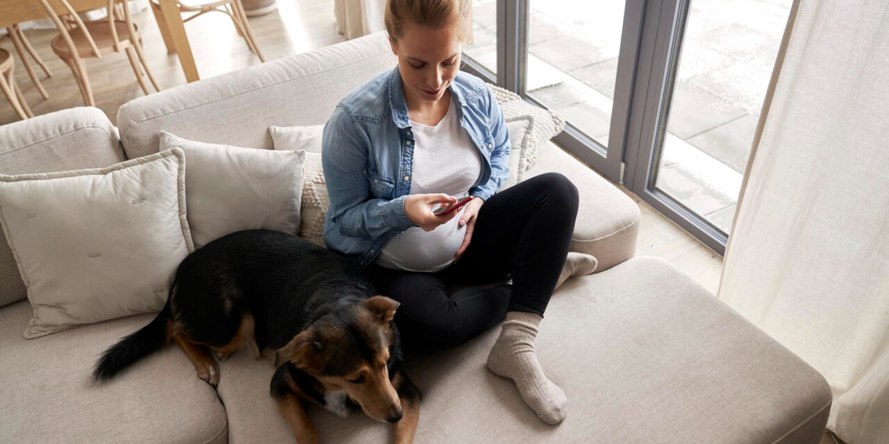 Dog-Proofing Your Home: A Room-by-Room Safety Guide