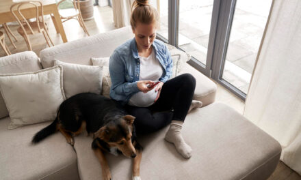 Dog-Proofing Your Home: A Room-by-Room Safety Guide