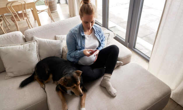 Dog-Proofing Your Home: A Room-by-Room Safety Guide