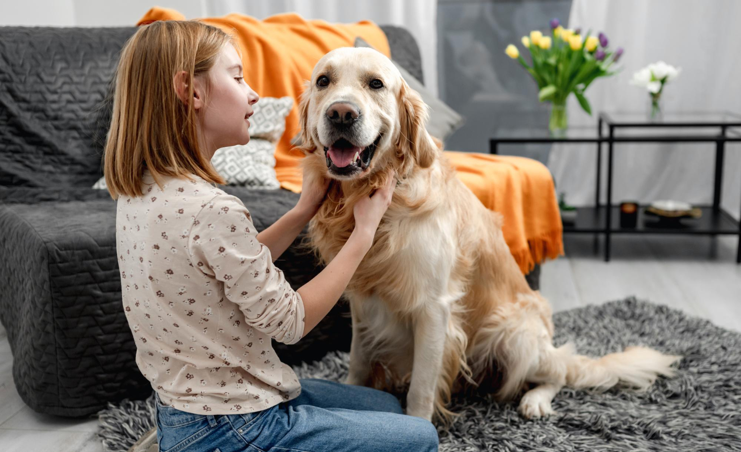 Indoor Dog Enrichment