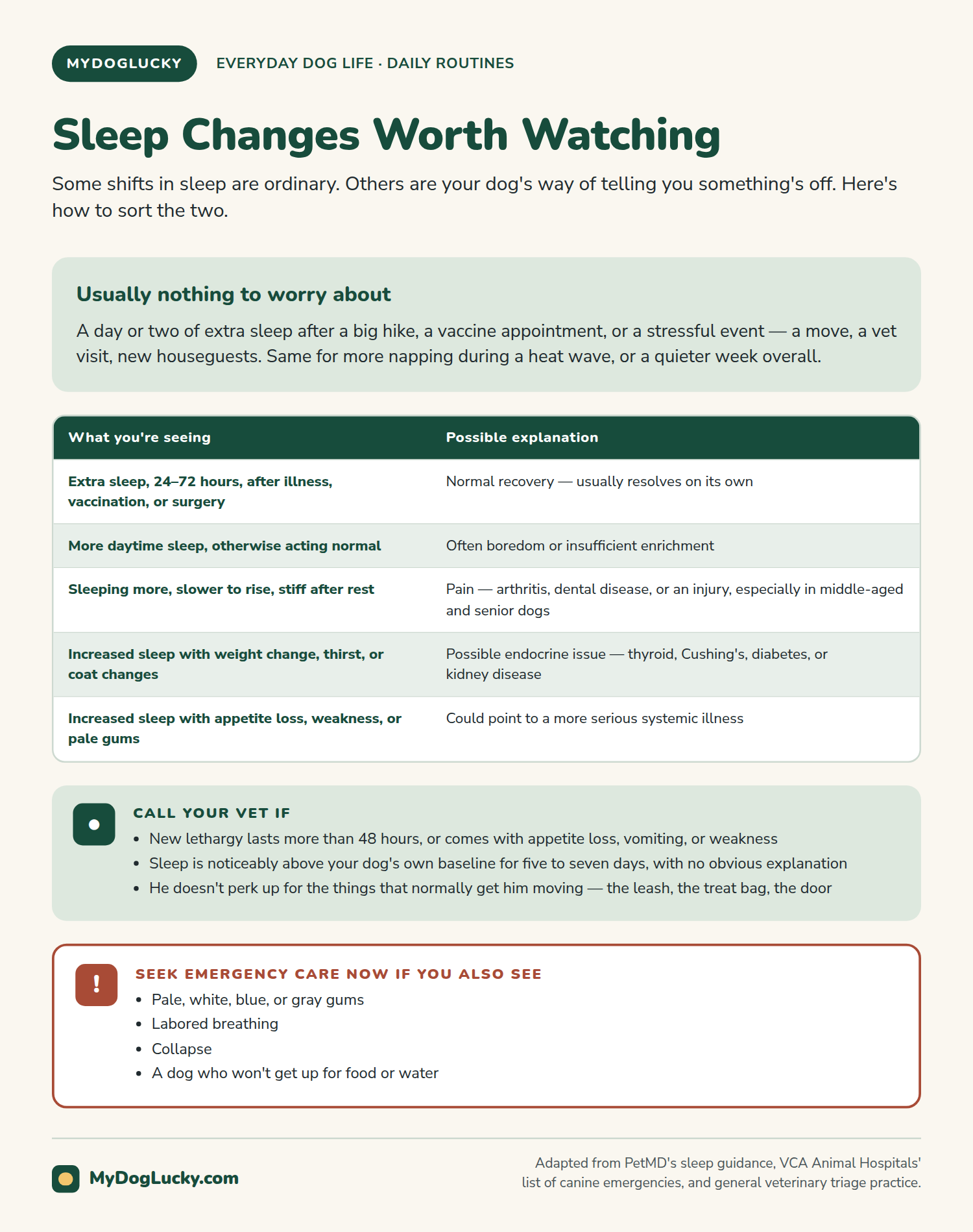 Why do dogs sleep so much infographic: sleep changes worth watching. A panel distinguishing usually-nothing-to-worry-about changes from a five-row table of possible explanations ranging from normal recovery to pain, endocrine issues, and serious illness; a call-your-vet callout with specific triggers; and an emergency callout listing pale gums, labored breathing, and collapse.