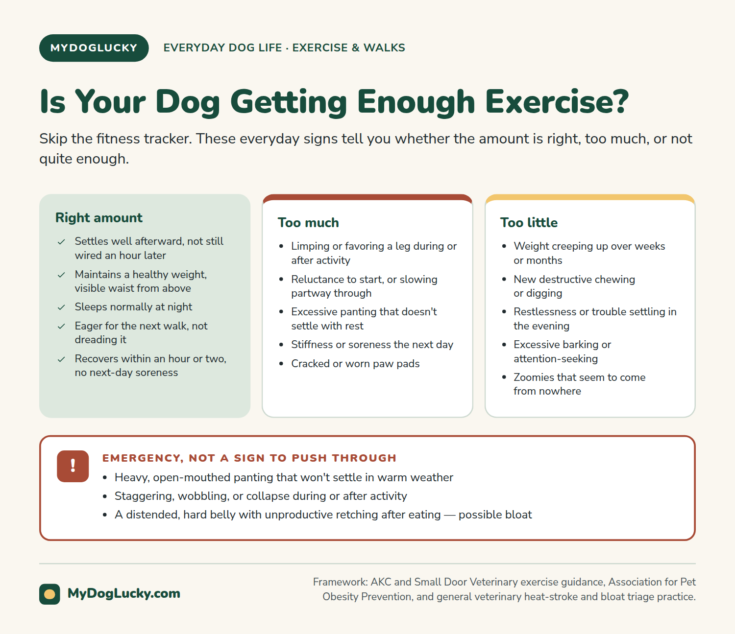 How much exercise does a dog need infographic: is your dog getting enough exercise. Three cards comparing signs of the right amount, too much, and too little exercise, side by side; and an emergency callout listing heavy panting that won't settle in warm weather, staggering or collapse, and a distended hard belly with unproductive retching after eating.