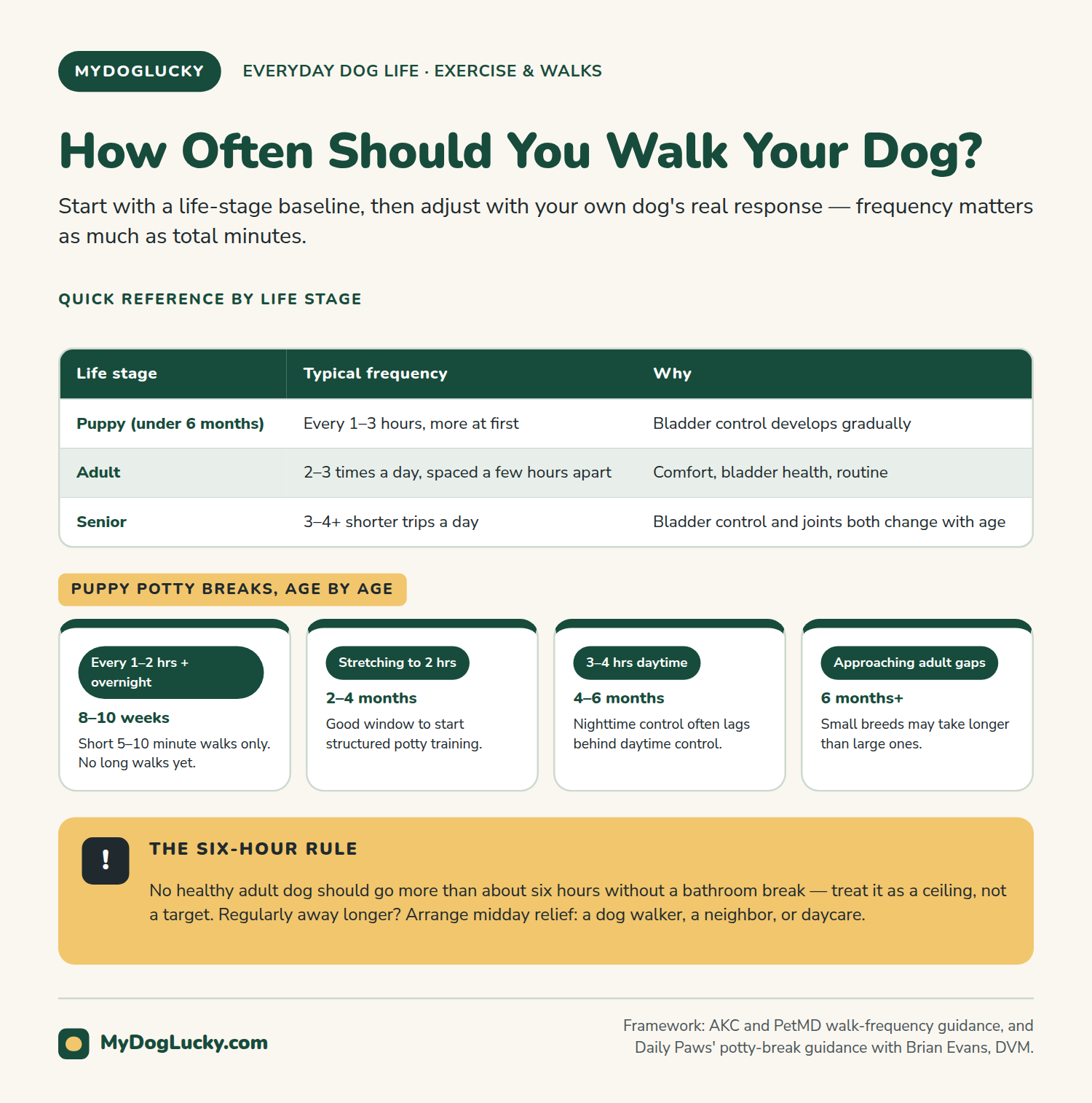 How often should you walk your dog infographic: how often should you walk your dog. A table showing every 1 to 3 hours for puppies under 6 months, 2 to 3 times a day for adults, and 3 to 4-plus shorter trips for seniors; four cards breaking down puppy potty-break frequency from 8 to 10 weeks through 6 months and up; and a callout explaining the six-hour rule for adult dogs.