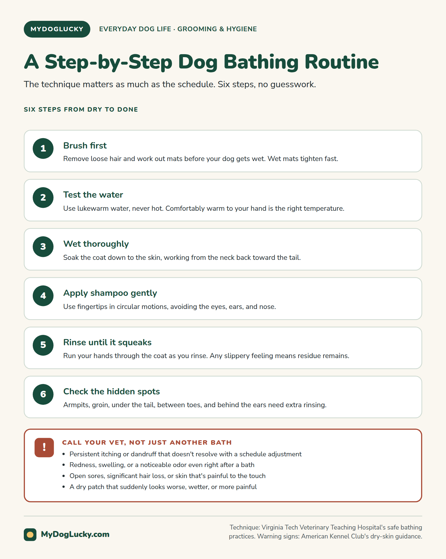 How often should you bathe your dog infographic: a step-by-step dog bathing routine. Six numbered steps, brush first, test the water, wet thoroughly, apply shampoo gently, rinse until it squeaks, and check the hidden spots, each with a short explanation; and a callout listing signs that mean calling the vet instead of bathing again, including persistent itching, redness, open sores, and a dry patch that suddenly looks worse.