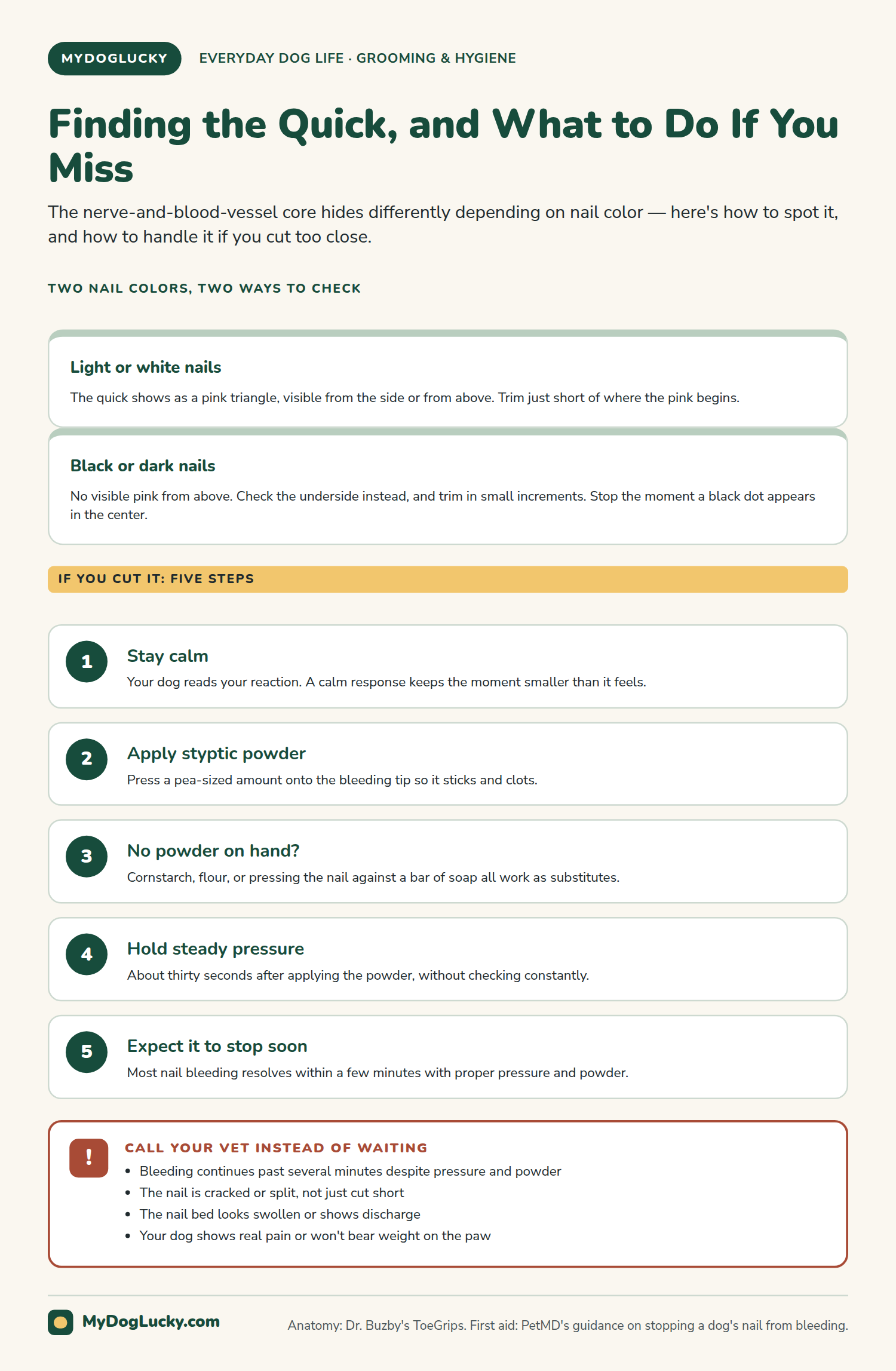How to trim dog nails infographic: finding the quick on light and dark nails, and five first-aid steps for a bleeding nail. Stay calm, apply styptic powder, use a substitute like cornstarch or soap if none is on hand, hold steady pressure, and expect it to stop within minutes; plus a callout on when to call the vet instead of waiting, including bleeding that won't stop, a cracked or split nail, or a swollen nail bed.