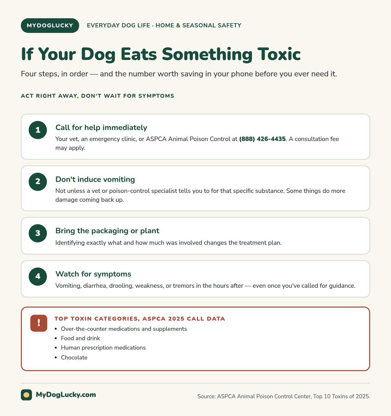 Dog-proofing your home infographic: what to do if your dog eats something toxic. Four action steps, call your vet, an emergency clinic, or ASPCA Animal Poison Control at 888-426-4435, don't induce vomiting unless told to, bring the packaging or plant, and watch for symptoms; plus a callout listing the top toxin categories from ASPCA's 2025 call data, over-the-counter medications, food and drink, human prescription medications, and chocolate.