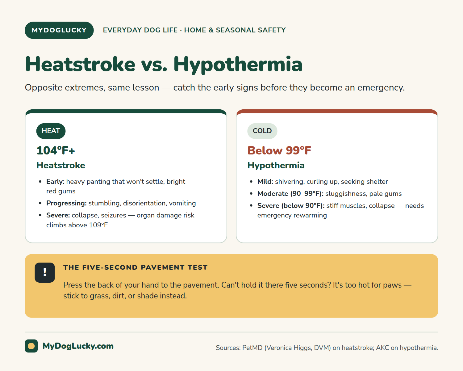 Dog care in hot and cold weather infographic: heatstroke and hypothermia side by side. Heatstroke diagnosed above 104 degrees Fahrenheit, with organ damage risk above 109; early signs are heavy panting and bright red gums, progressing to stumbling and collapse. Hypothermia starts below 99 degrees, moderate in the 90 to 99 range and severe below 90; early signs are shivering and seeking warmth, progressing to sluggishness, pale gums, and collapse. A callout gives the five-second pavement test for hot walks.