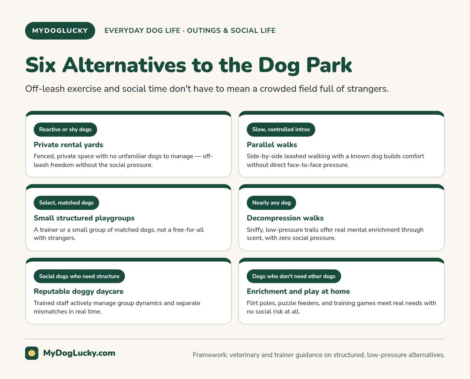 Dog park etiquette infographic: six alternatives to the dog park. Private rental yards, parallel walks with a known dog, small structured playgroups, decompression walks on sniffy trails, reputable doggy daycare, and enrichment and play at home, each with a one-line note on which dogs it suits best.