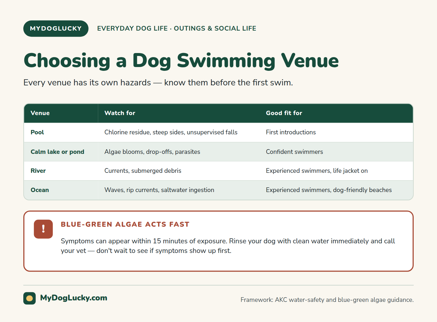 Swimming with dogs infographic: choosing a dog swimming venue. Four venues, backyard or public pool, calm lake or pond, river, and ocean, each matched to what to watch for, like chlorine residue and steep sides in a pool, or algae blooms and drop-offs in a lake, and who it's a good fit for; plus a callout warning that blue-green algae symptoms can appear within fifteen minutes and require an immediate rinse and vet call.