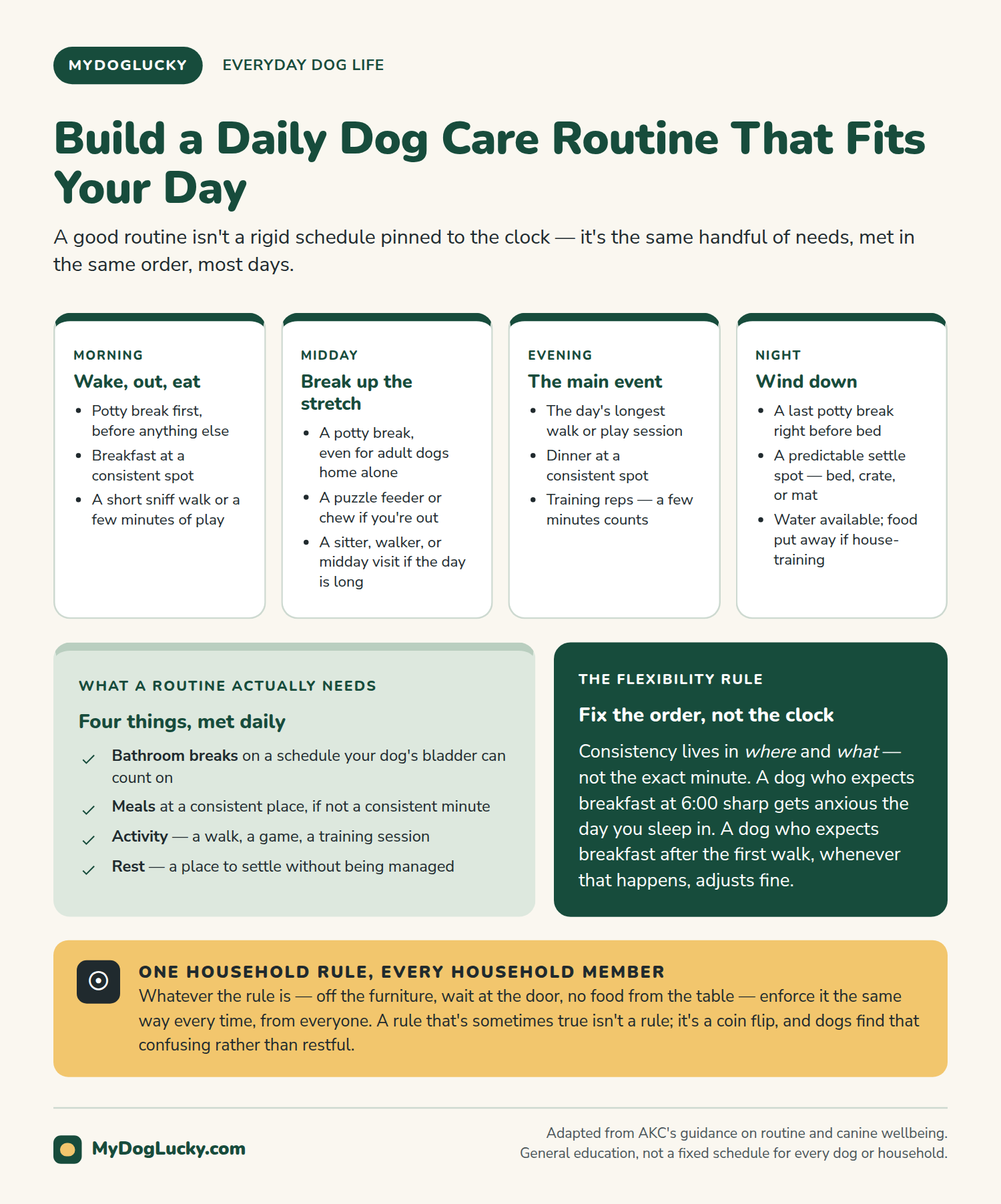 Everyday dog care infographic: build a daily dog care routine. Four cards showing a morning, midday, evening, and night rhythm with what to do in each window; a panel on the four things a routine actually needs — bathroom breaks, meals, activity, and rest; a panel on fixing the order rather than the clock; and a callout on enforcing one household rule consistently.