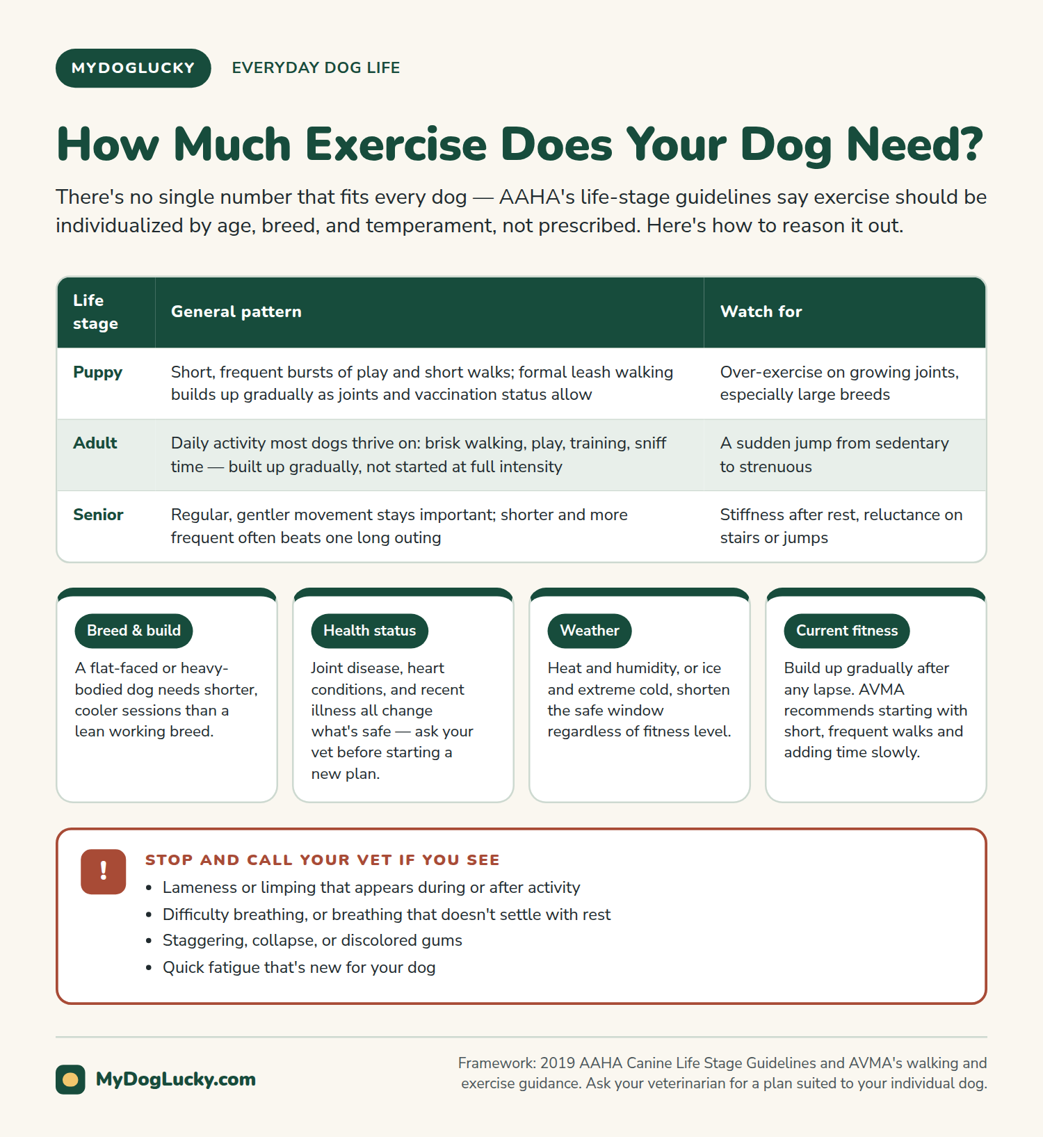 Everyday dog care infographic: how much exercise does your dog need. A table comparing general exercise patterns and watch-outs for puppies, adults, and seniors; four cards on breed and build, health status, weather, and current fitness as factors that change the plan; and a callout listing signs to stop exercise and call the vet.