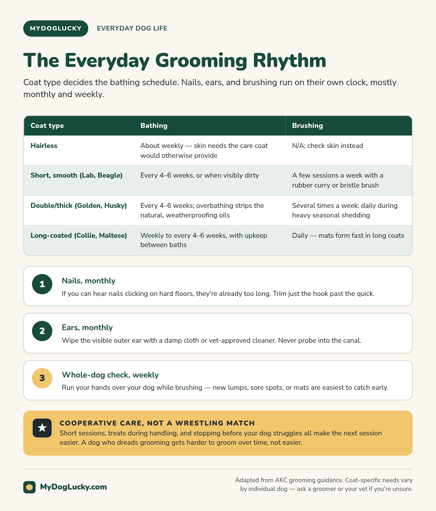 Everyday dog care infographic: the everyday grooming rhythm. A table comparing bathing and brushing frequency across hairless, short-smooth, double-coated, and long-coated dogs; a three-step sequence for monthly nail trims, monthly ear checks, and a weekly whole-dog check; and a panel on making grooming cooperative rather than a wrestling match.