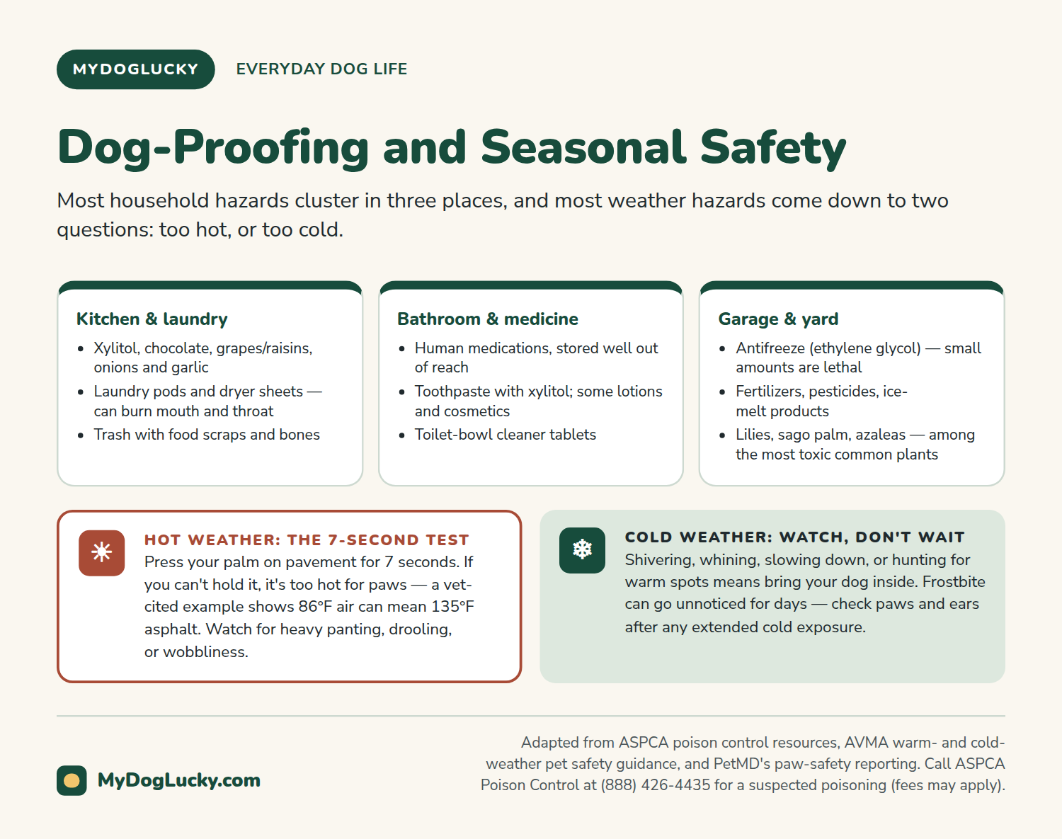 Everyday dog care infographic: dog-proofing and seasonal safety. Three cards listing common hazards in the kitchen and laundry, bathroom and medicine storage, and garage and yard; a hot-weather callout describing the seven-second pavement test with an example of 86 degree air meaning 135 degree asphalt; and a cold-weather callout listing hypothermia warning signs.
