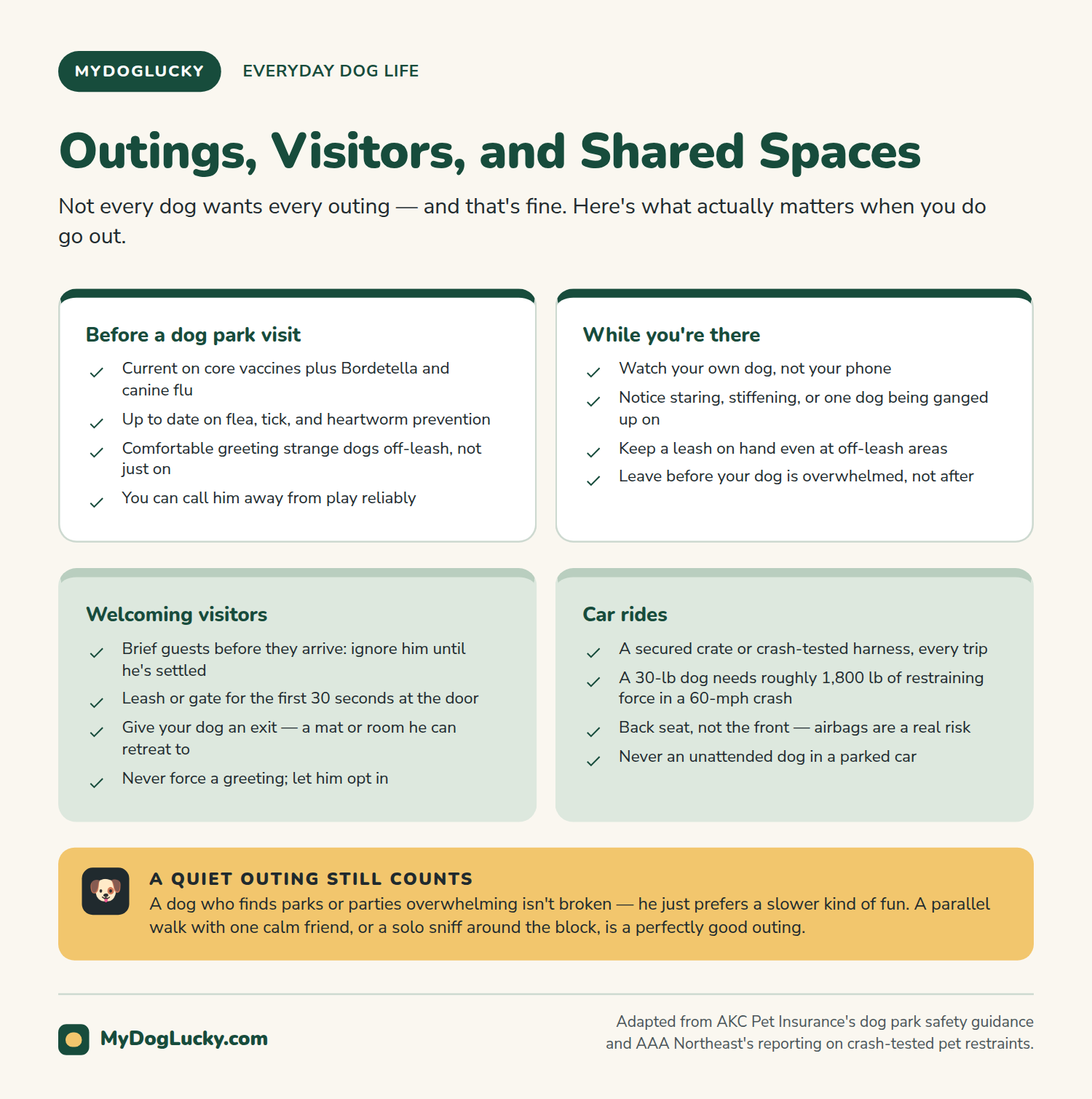 Everyday dog care infographic: outings, visitors and shared spaces. Cards covering dog park preparation and etiquette, welcoming visitors at the door, and car-ride safety including the restraining-force math for a 30-pound dog in a crash; and a callout on quiet outings being a legitimate choice for dogs who find crowds overwhelming.