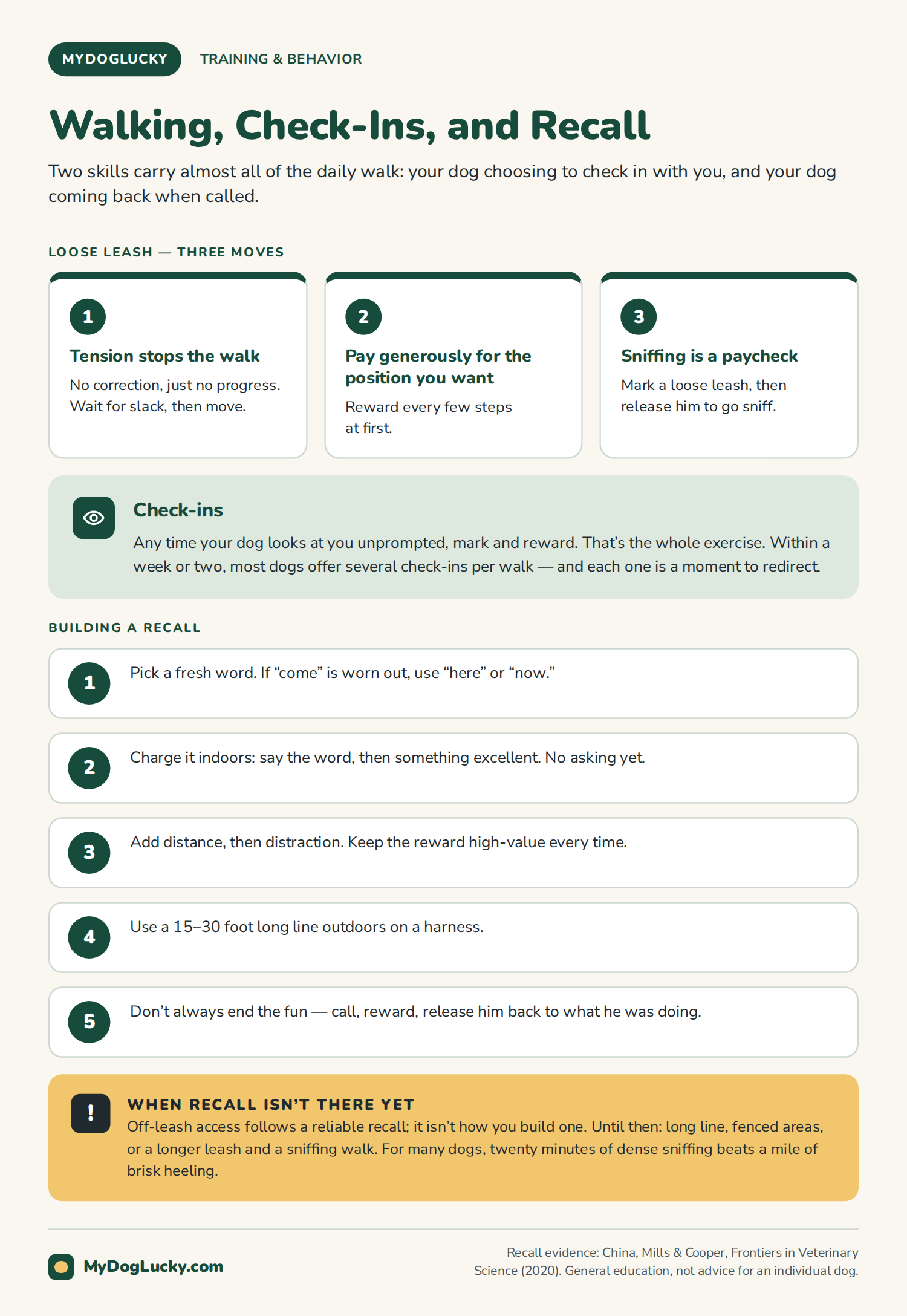 Dog training basics infographic walking, check-ins and recall. A three-part loose-leash method showing that tension stops forward motion, rewarding the position you want, and using sniffing as a reward; how to build voluntary check-ins; and a five-step recall plan covering a fresh cue word, charging it indoors, adding distance and distraction, using a long line outdoors, and not always ending the fun.