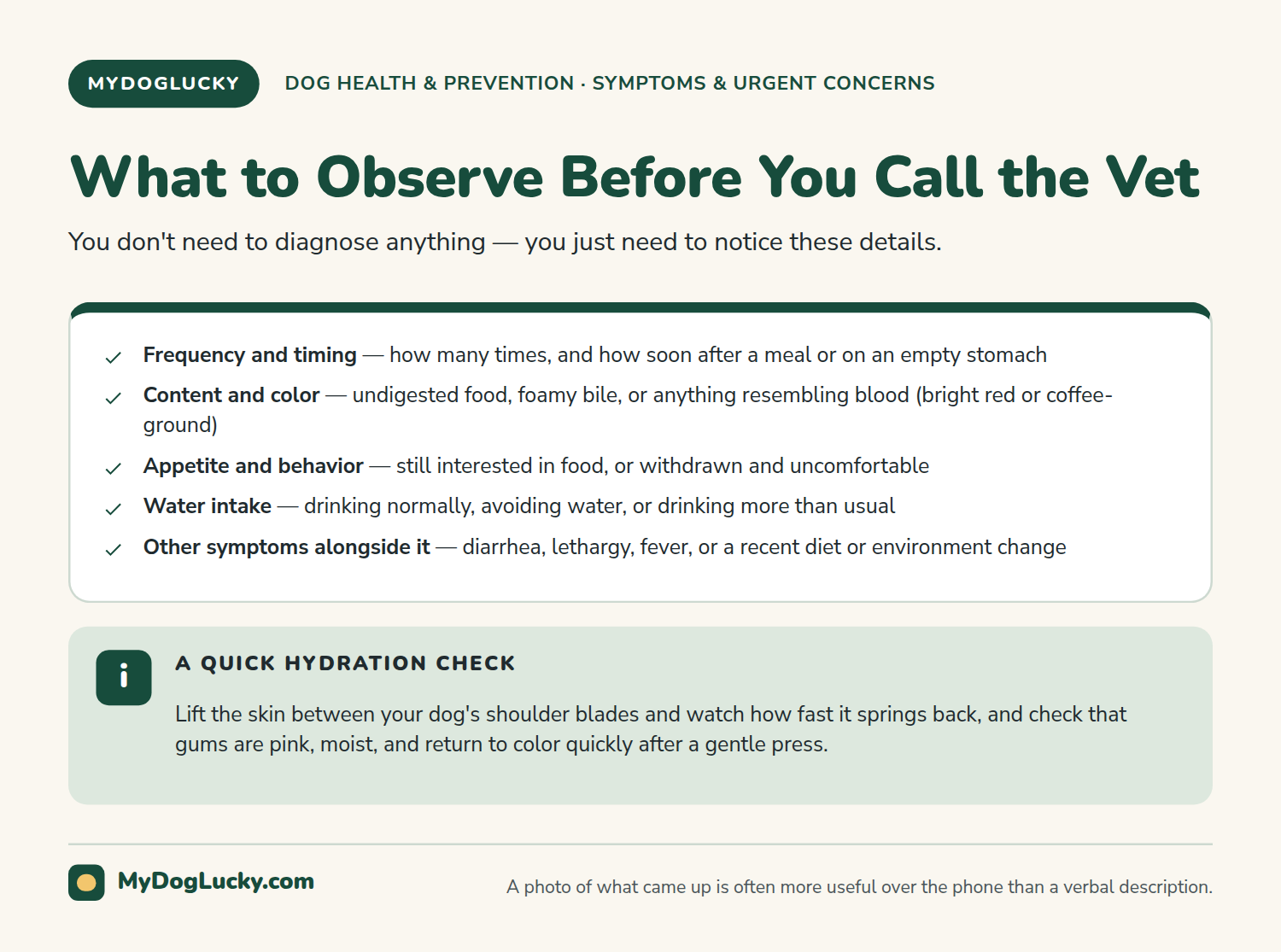 Why is my dog throwing up infographic checklist of what to observe and record about a vomiting dog before calling the vet: frequency, timing relative to eating, content and color, appetite, and water intake.