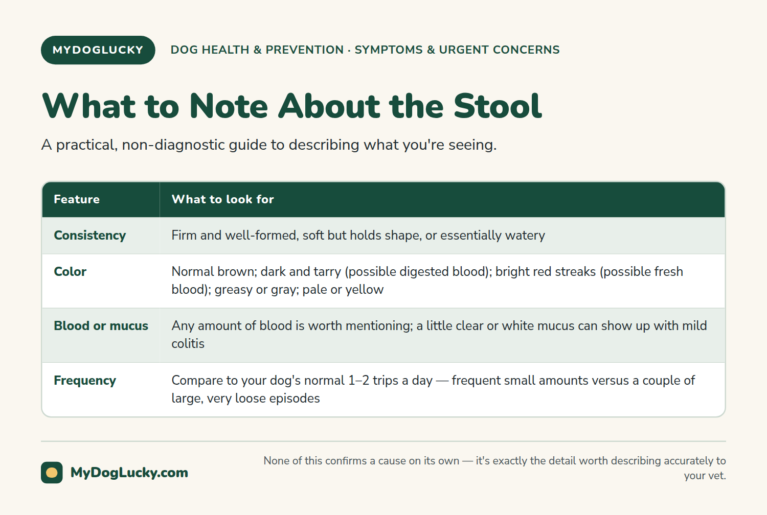 Dog diarrhea infographic checklist of what to observe about a dog's stool during a bout of diarrhea: consistency, color, presence of blood or mucus, and frequency.