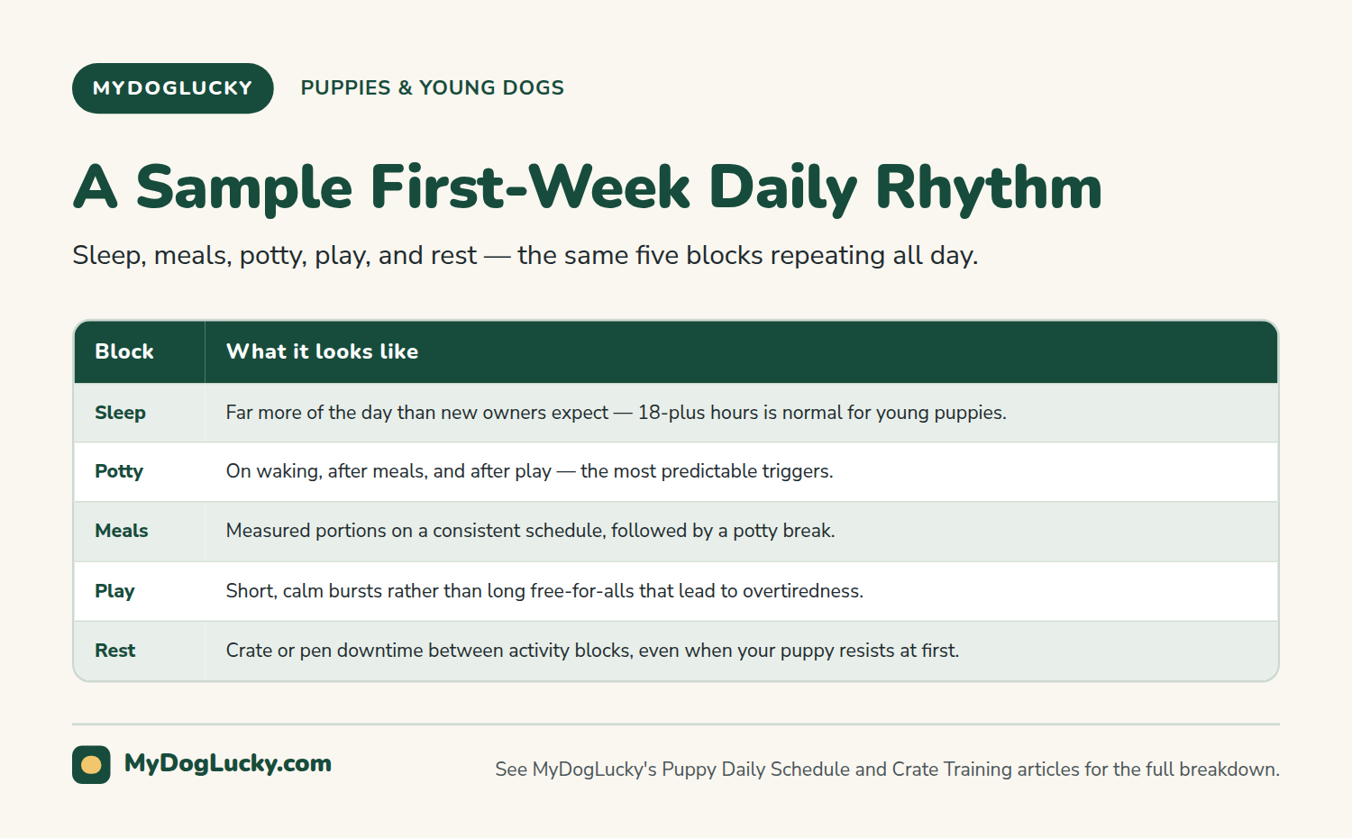 Puppy care infographic table showing a sample first-week daily rhythm for a new puppy across five blocks: sleep, potty, meals, play, and rest.