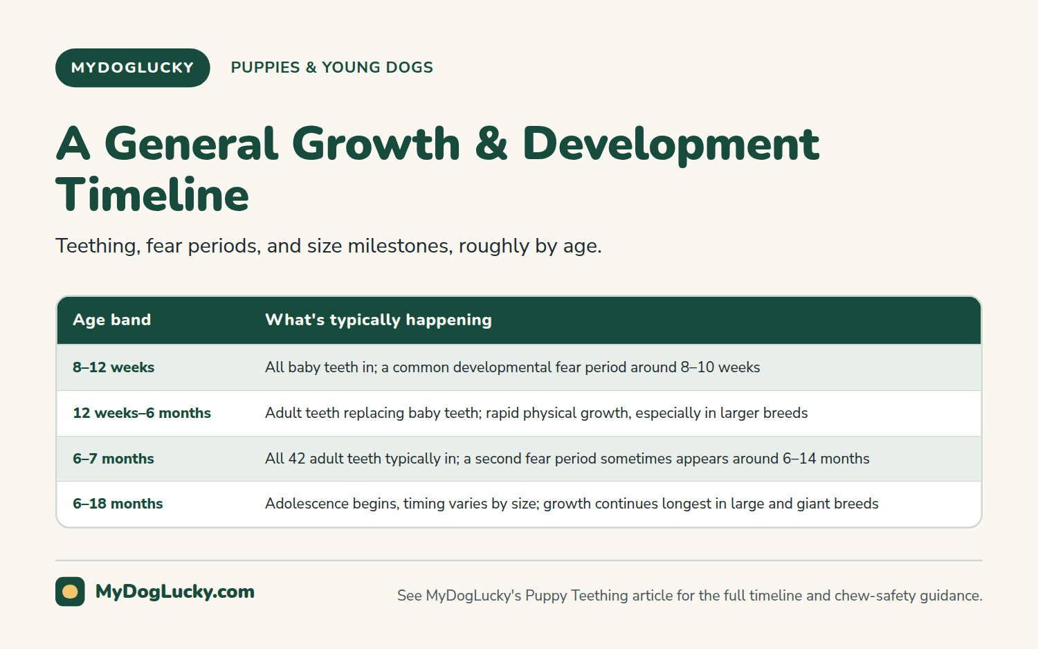 Puppy care infographic table showing a general puppy growth and development timeline across four age bands from 8 weeks through 18 months, covering teething, fear periods, and adolescence onset.