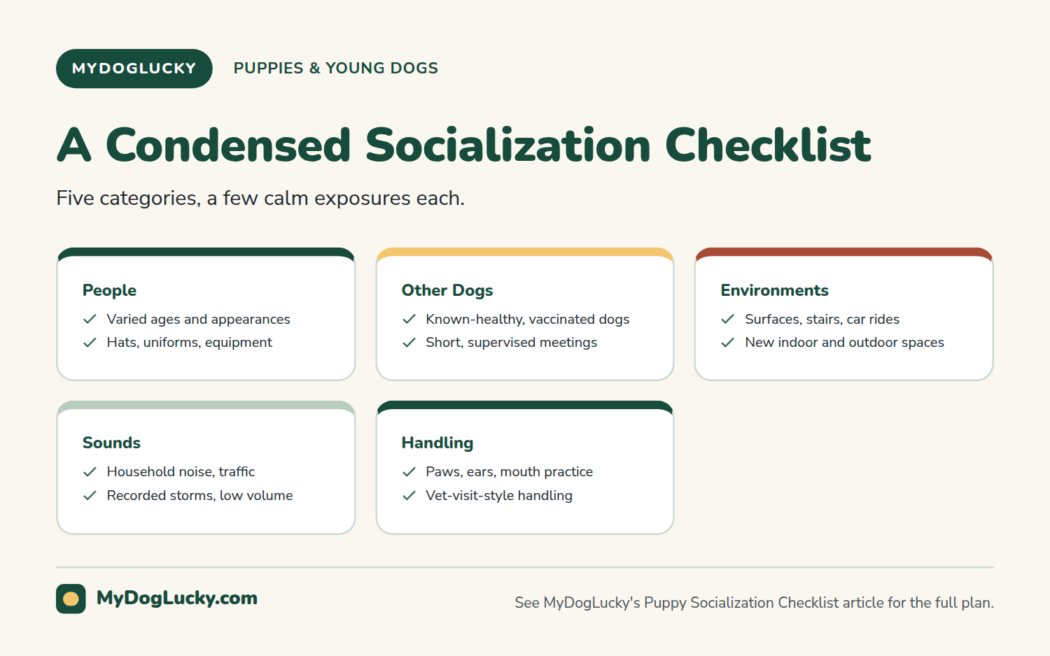 Puppy care infographic showing a condensed puppy socialization checklist across five categories: people, other dogs, environments, sounds, and handling.