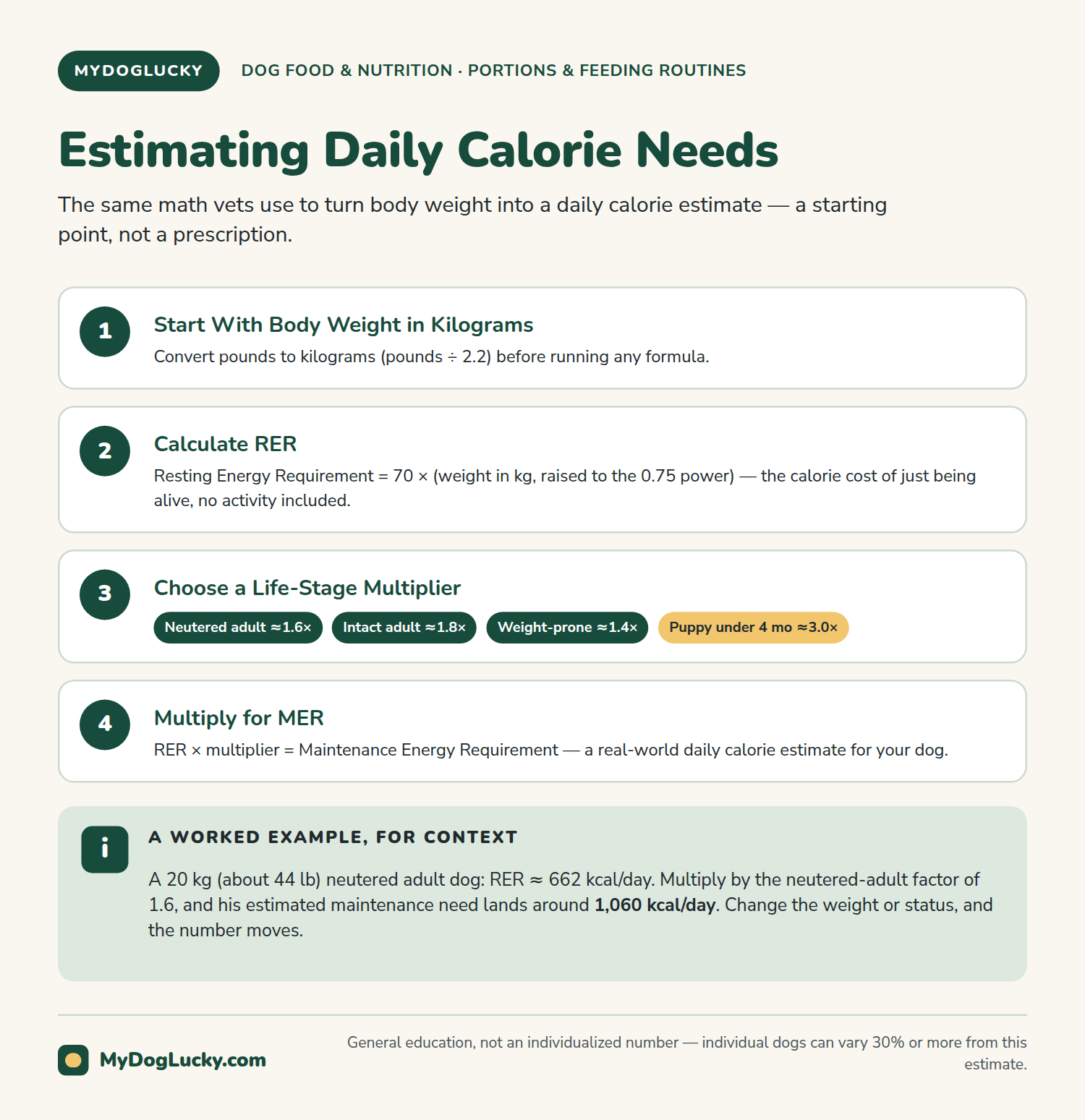 How much should I feed my dog infographic walking through a four-step process for estimating a dog's daily calorie needs, including a worked example for a 20-kilogram neutered adult dog.